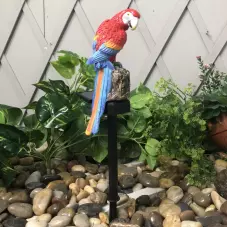 Градинска лампа във формата на папагал Градинска лампа във формата на папагал