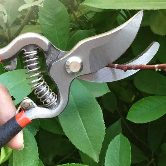 Градинска ръчна ножица за подрязване на храсти
