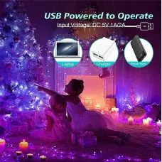 LED Коледна декорация, 10 метра LED Коледна декорация, 10 метра